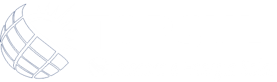 Logo Topsul